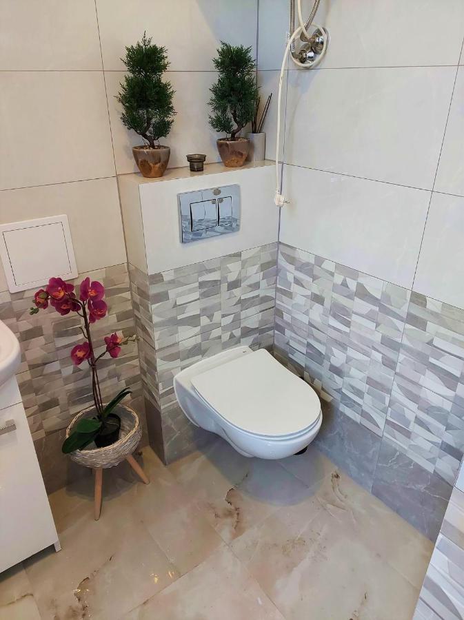 Miracool Apartament Apartment *